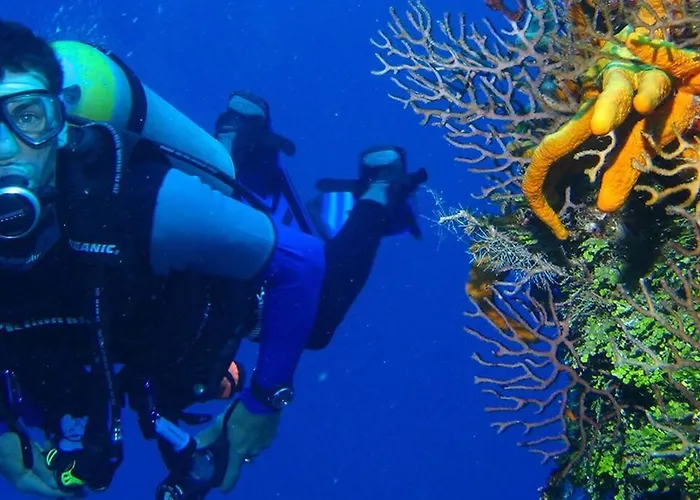 Apartament Casa Temis - Monsenor Apts *