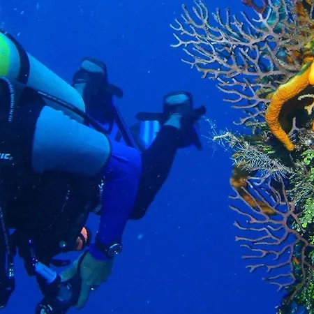 Lejlighed Casa Temis - Monsenor Apts *